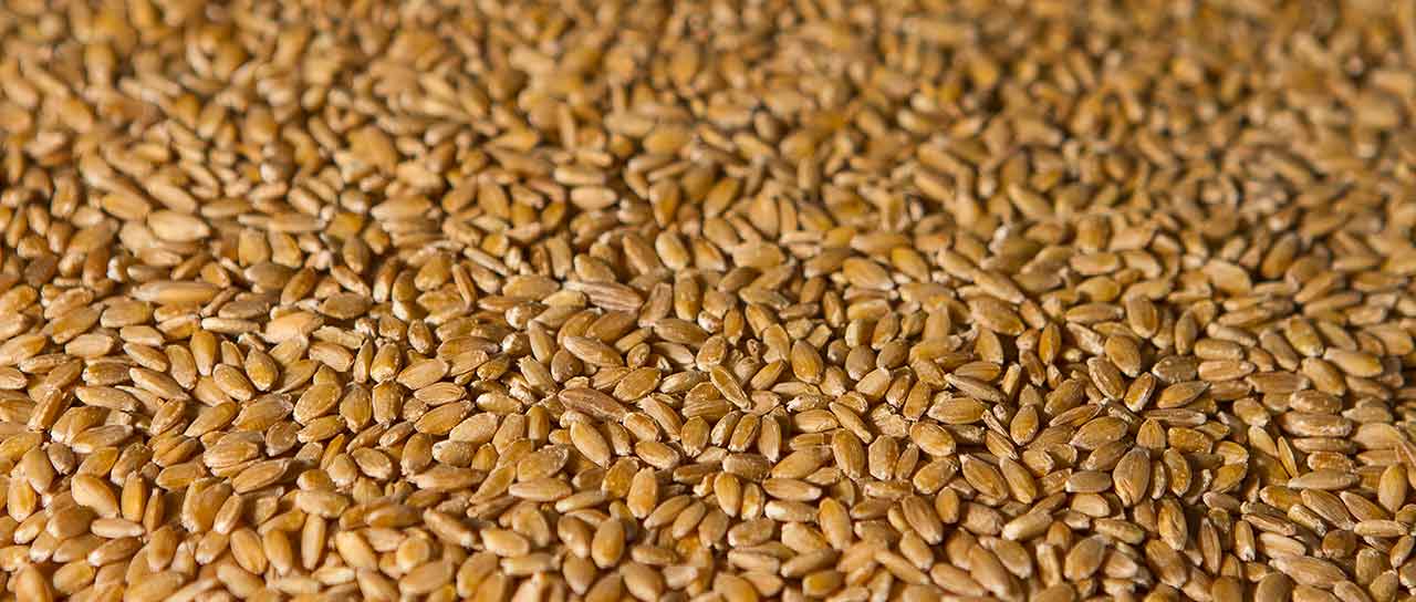 I Grani Antichi del Mulino Marzetti